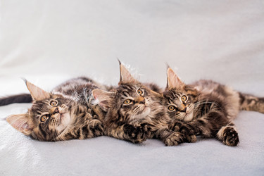 Similar image 21259105