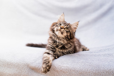 Similar image 21259757