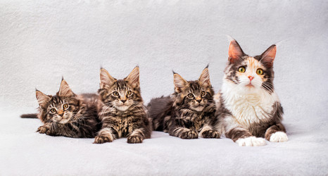 Similar image 21262482