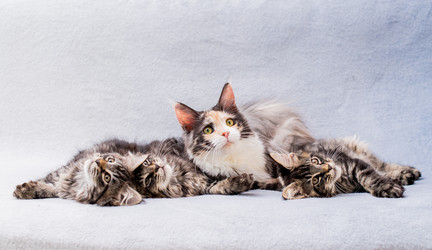 Similar image 21259759