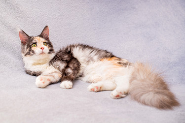 Similar image 21259131