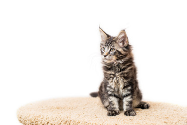 Similar image 21259135