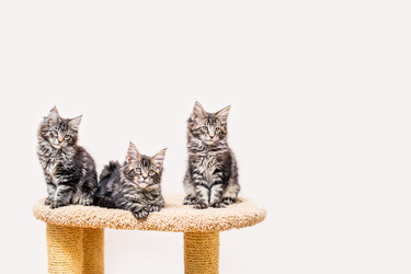 Similar image 21259143