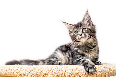 Similar image 21259169