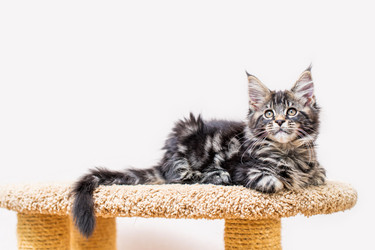 Similar image 21259171