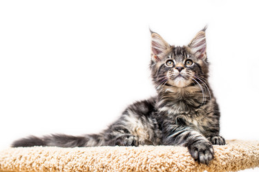 Similar image 21259175