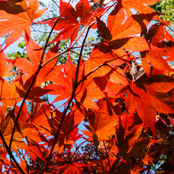 Similar image 21285017