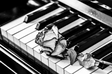 Similar image 21285019