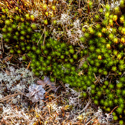 Similar image 21284978