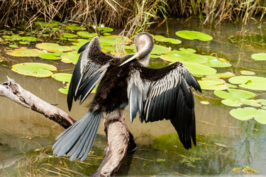 Similar image 21284980