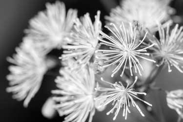 Similar image 21284984