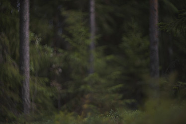 Similar image 21261712