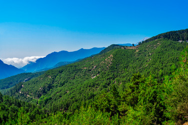 Similar image 21276047