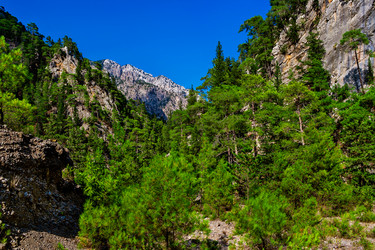 Similar image 21276165