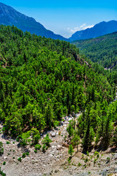 Similar image 21276167