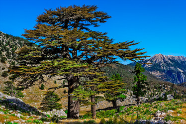 Similar image 21276168