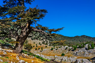 Similar image 21276170