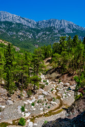 Similar image 21276171