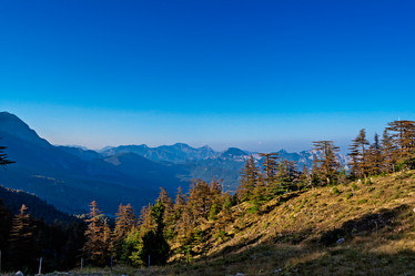 Similar image 21276172