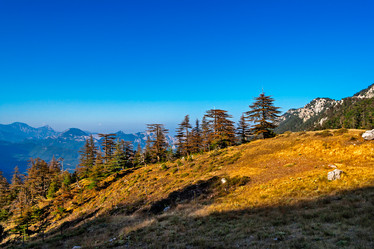 Similar image 21276174