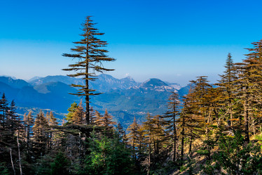 Similar image 21276178