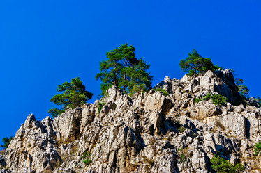 Similar image 21276179