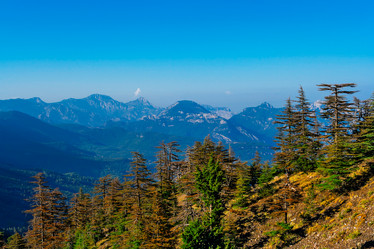 Similar image 21276180