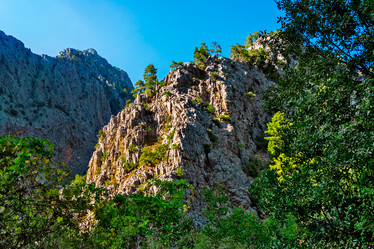 Similar image 21273066