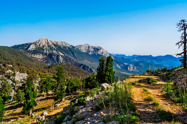 Similar image 21276054