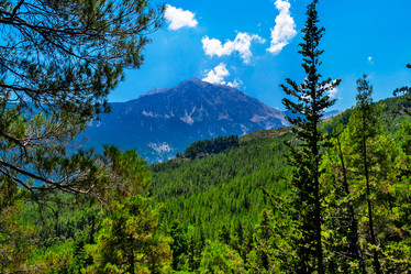 Similar image 21276056