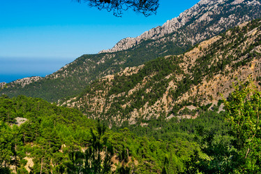 Similar image 21276064