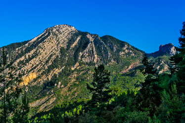 Similar image 21276066