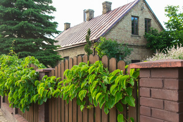 Similar image 21263362