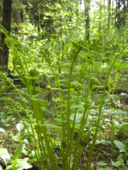 Similar image 21264729