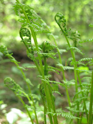 Similar image 21264730