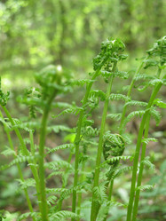 Similar image 21264731