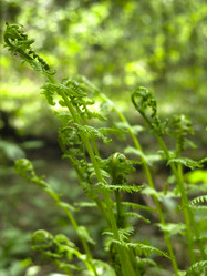 Similar image 21264732