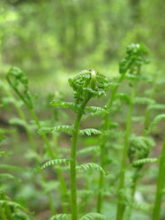 Similar image 21264733