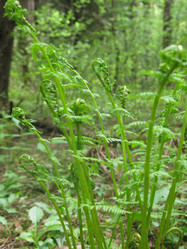 Similar image 21264734