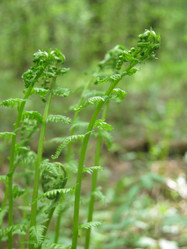 Similar image 21264735