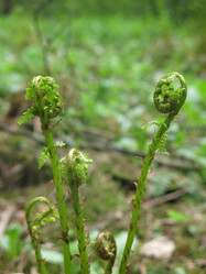 Similar image 21264736