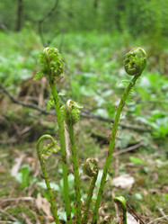 Similar image 21264738