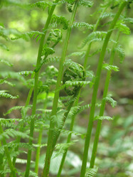 Similar image 21264740