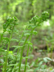 Similar image 21264741