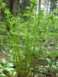 Similar image 21264742