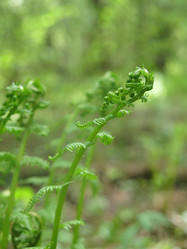 Similar image 21264743