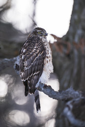 Similar image 21262452