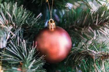 Similar image 21279687