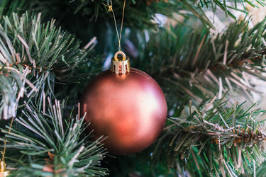 Similar image 21279688