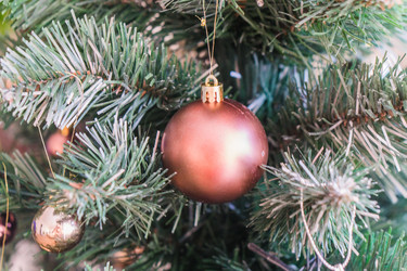 Similar image 21279689